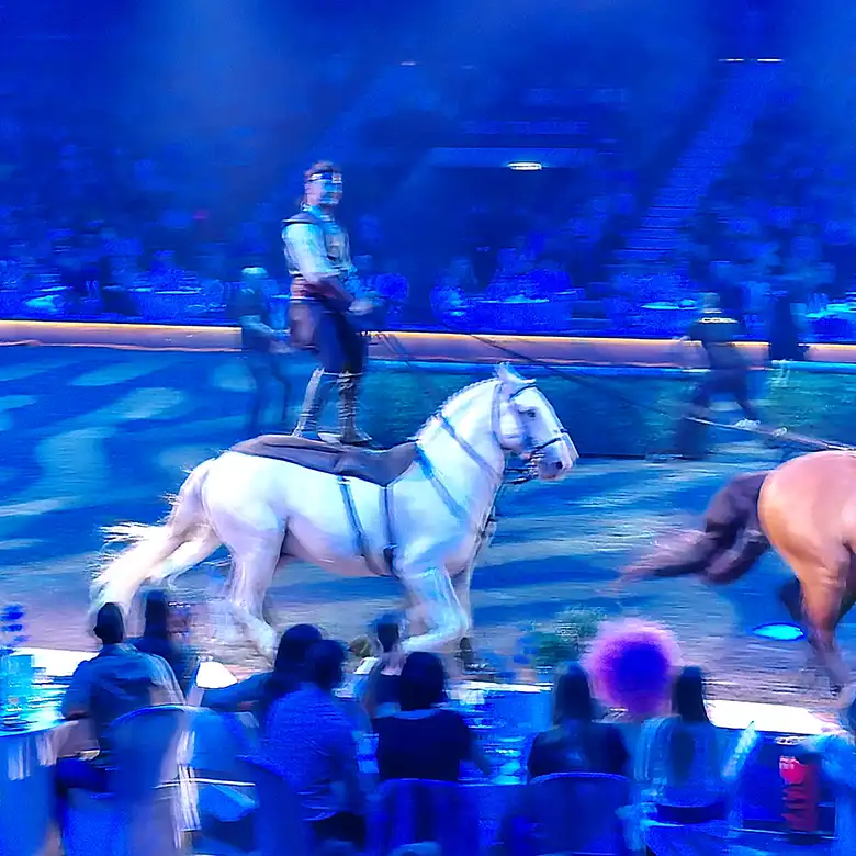 10 / 10: Cavalluna Pferdeshow