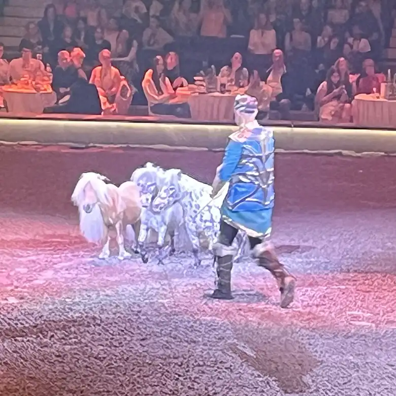 2 / 10: Cavalluna Pferdeshow