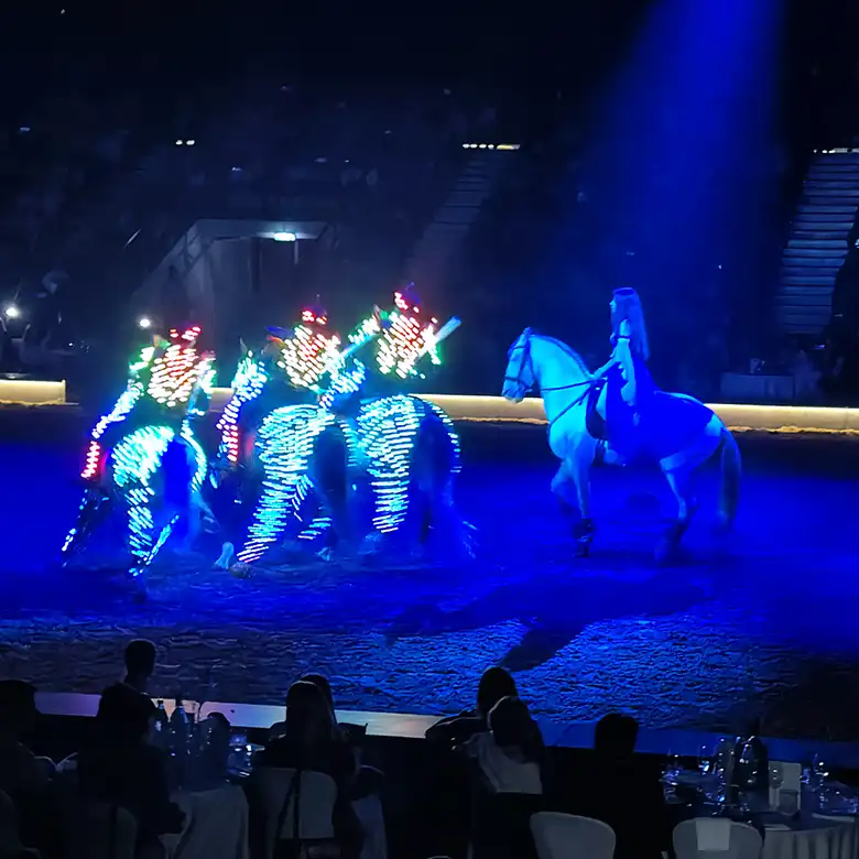 5 / 10: Cavalluna Pferdeshow