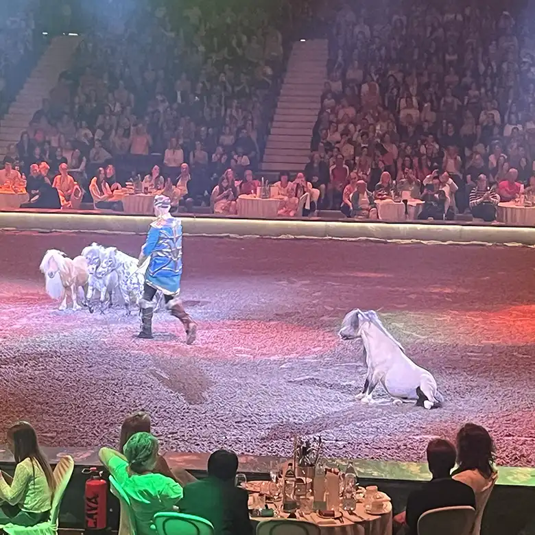 6 / 10: Cavalluna Pferdeshow