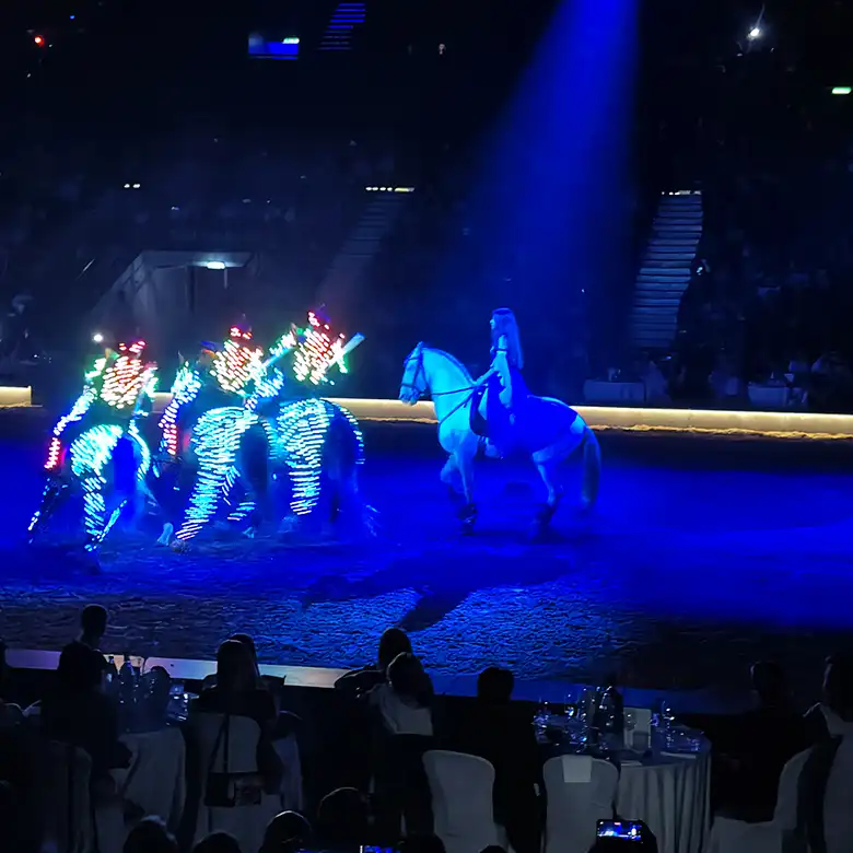 9 / 10: Cavalluna Pferdeshow